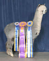 Snowmass Sterling Silver